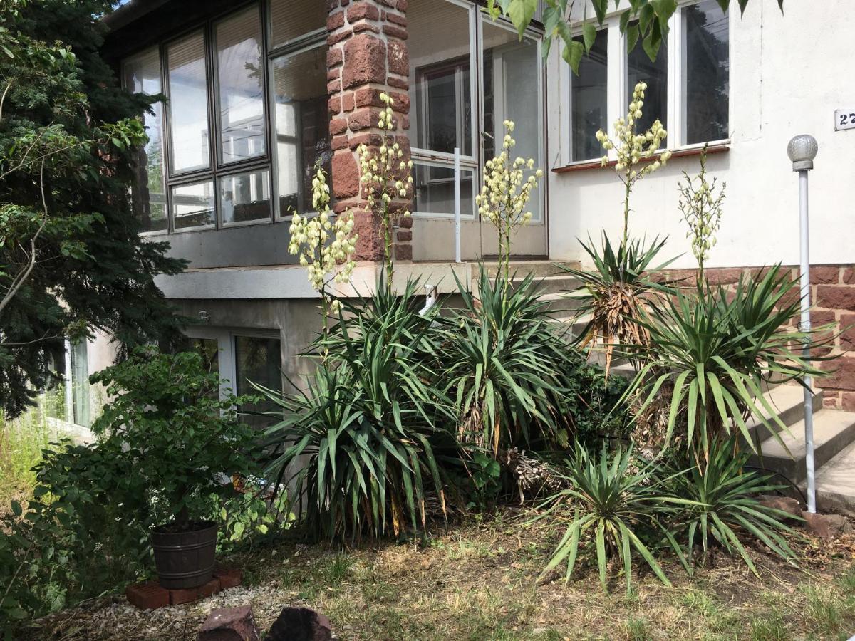 Alsooers Ch Apartment Bagian luar foto